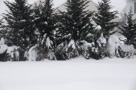 Blizzard 2010 II - February 9 & 10